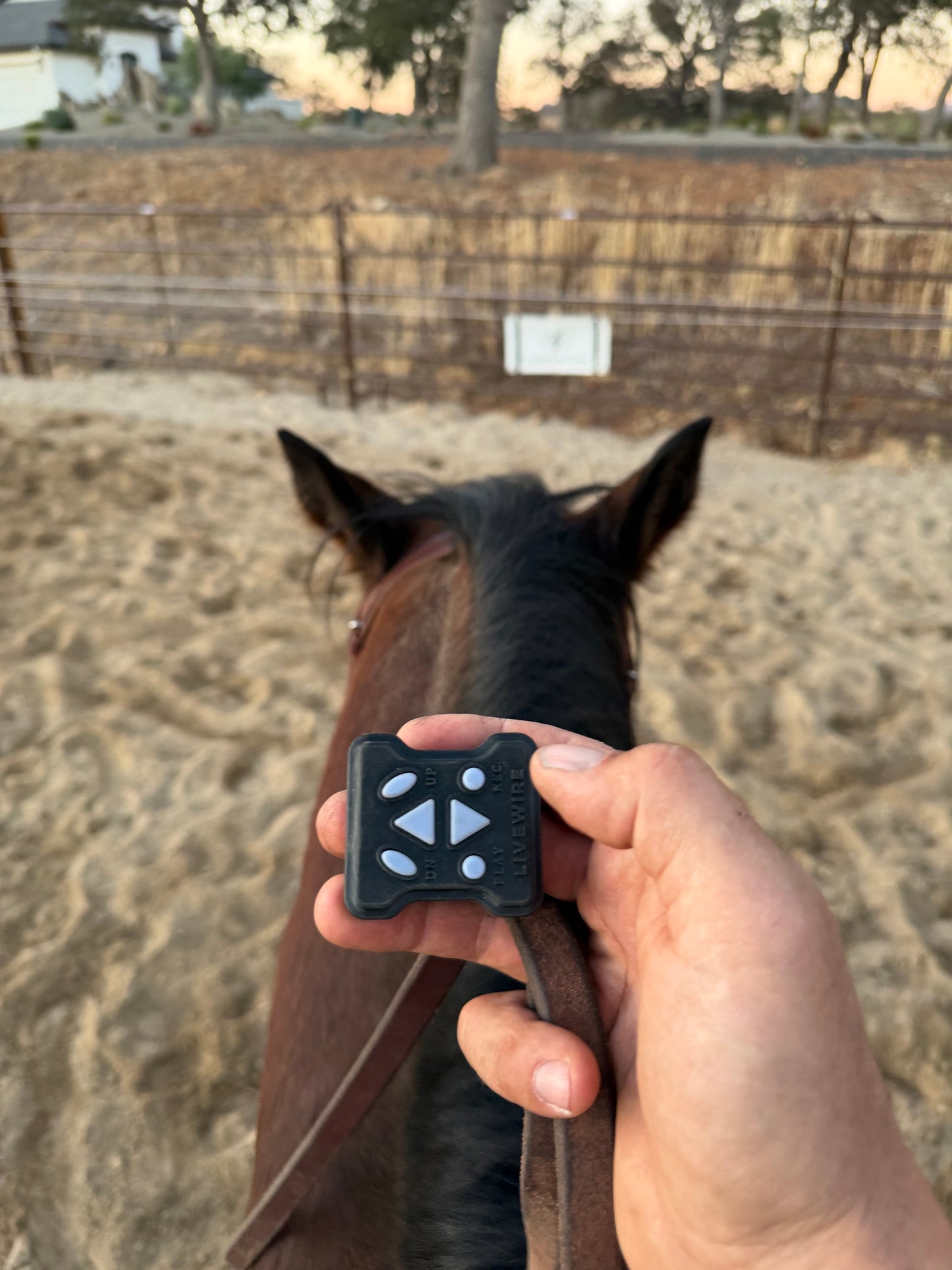 Livewire Lite Portable Cutting Flag System
