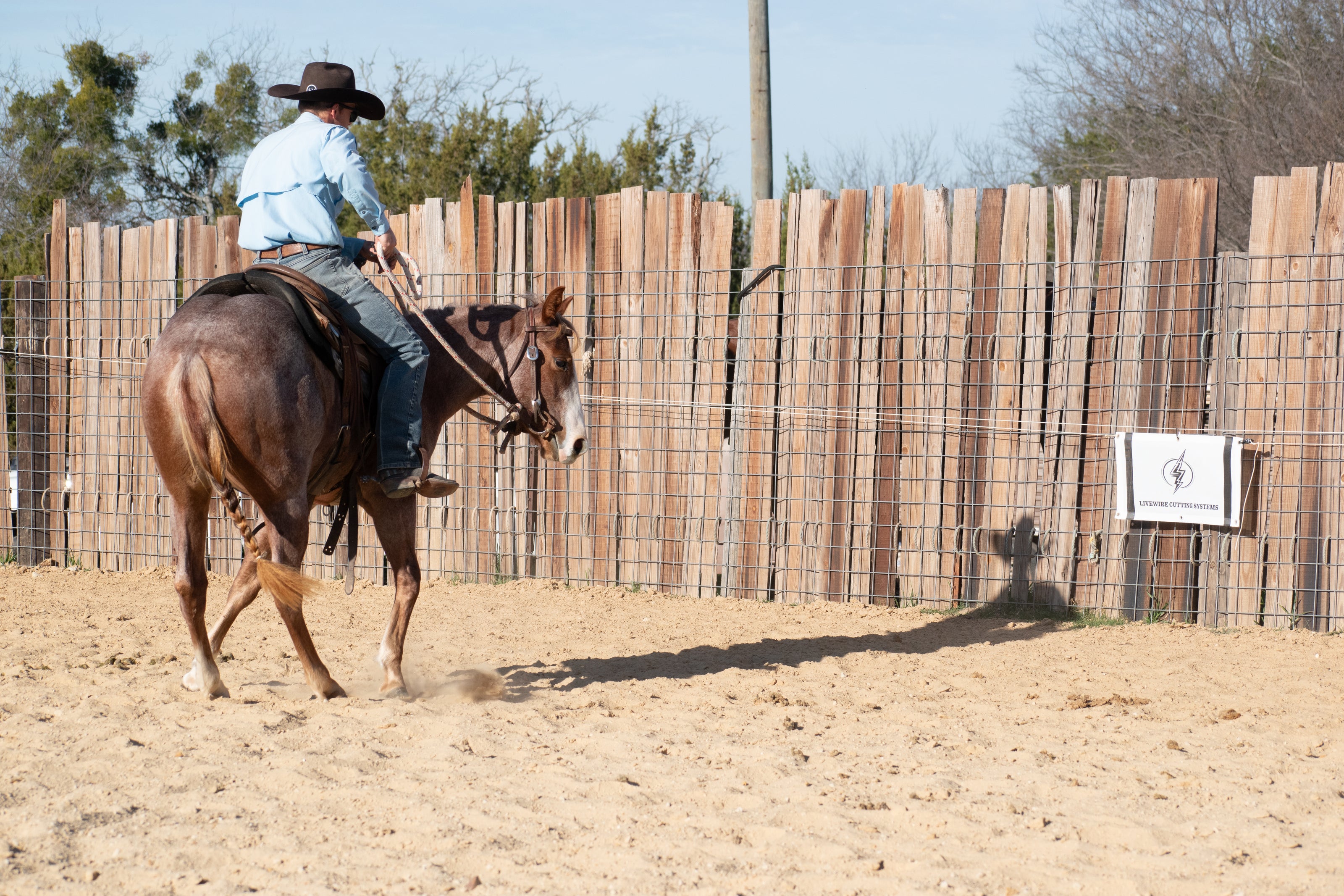 Cutting horse training