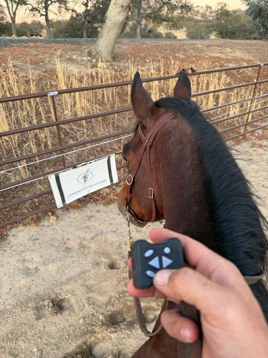 Replacement Remote Control